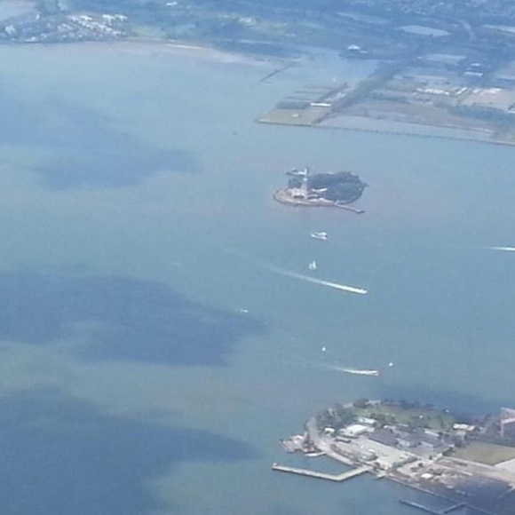 Meet your Posher, Dexter - Picture 1 of 1